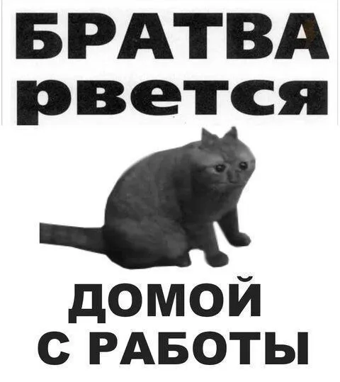 Братва рвется домой с работы