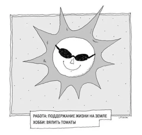 Работа и хобби