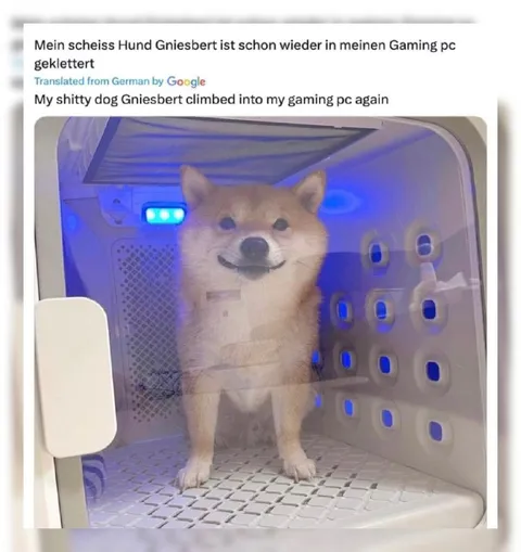 Mein scheiß Hund im Gaming-PC