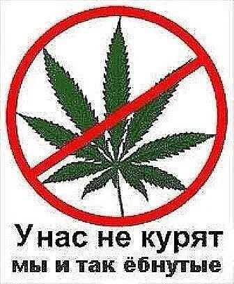 У нас не курят — и так ебанутые