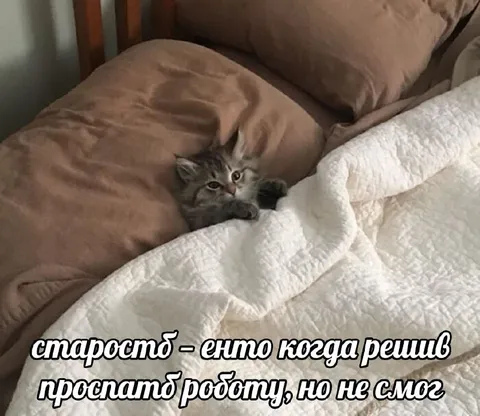 Старость и проспанная работа