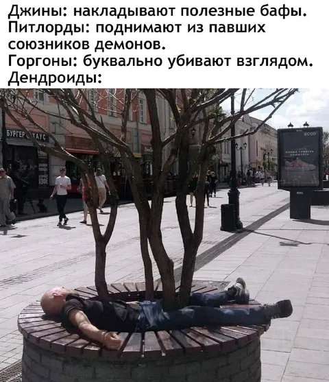 Дендроид в городской клумбе