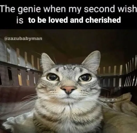Genie Grants Love and Cherishment