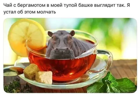 Бегемот в чае