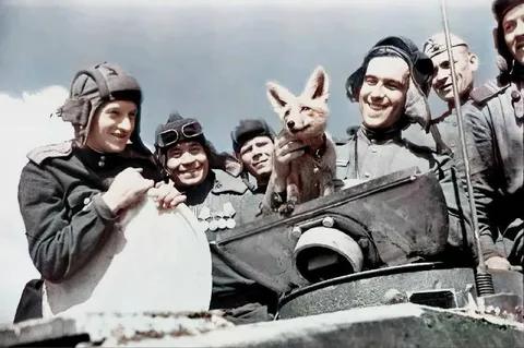 С праздником, товарищи