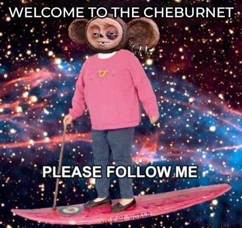 Welcome to the Cheburnet