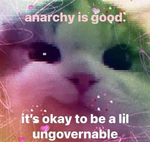 Anarchy Is Good Cat