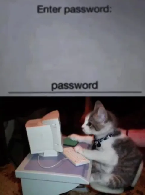 Cat Fails the Password Repeatedly