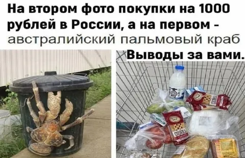 Покупки на тысячу рублей