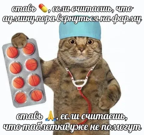Кот-врач с таблетками