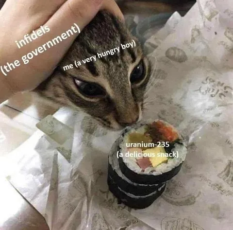 Cat Wants Uranium Sushi