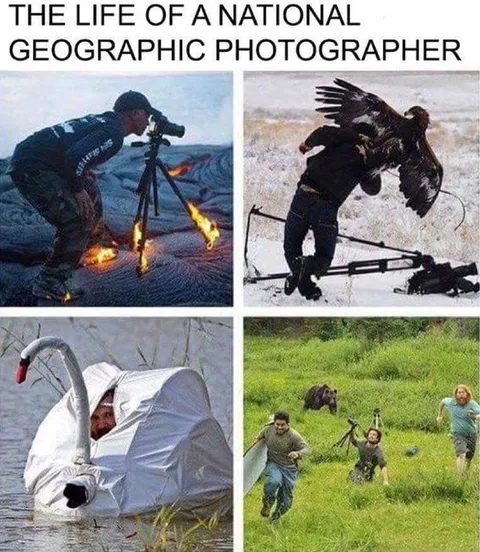 Жизнь фотографа National Geographic