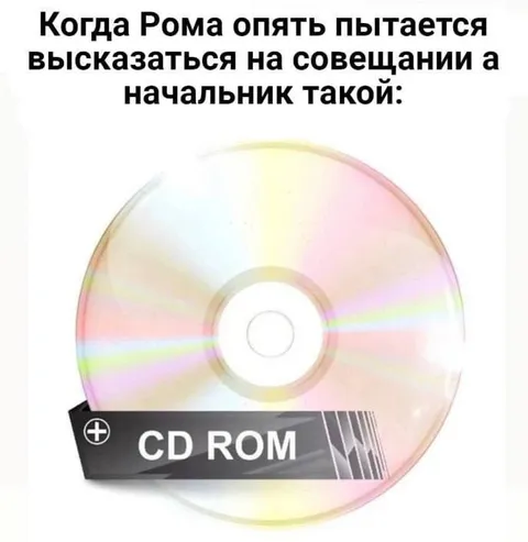 Рома и CD-ROM на совещании