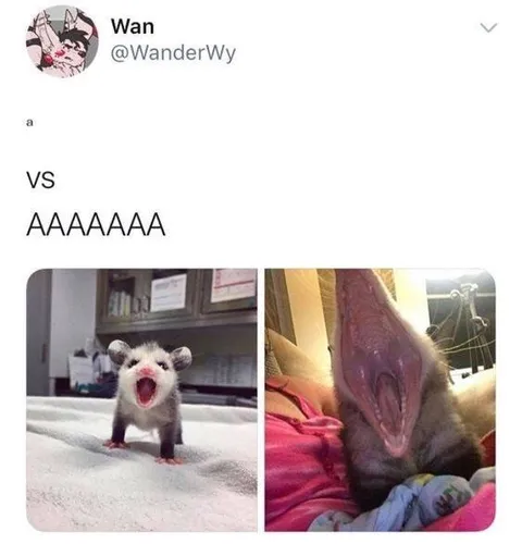 Tiny Scream Versus Giant Scream