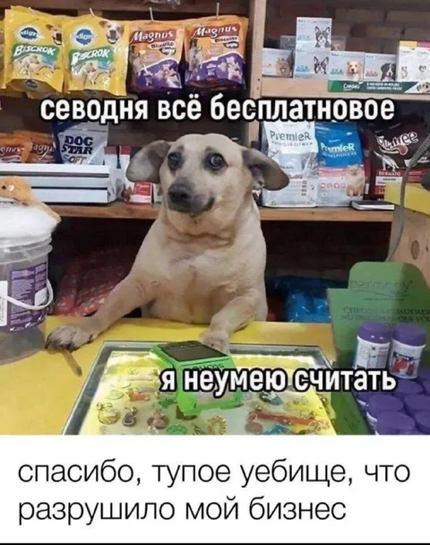 Собака разорила магазин