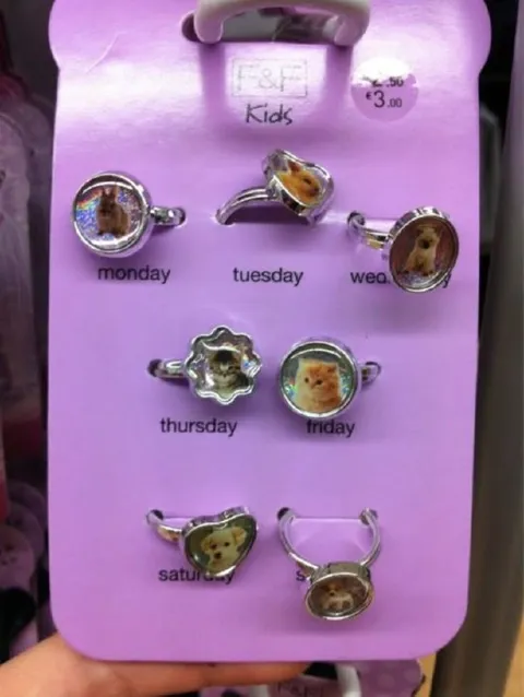 Cat Rings for Every Day