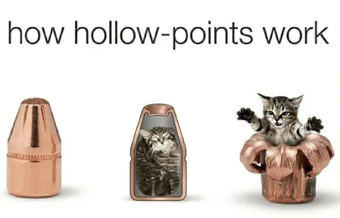 How Hollow Points Work