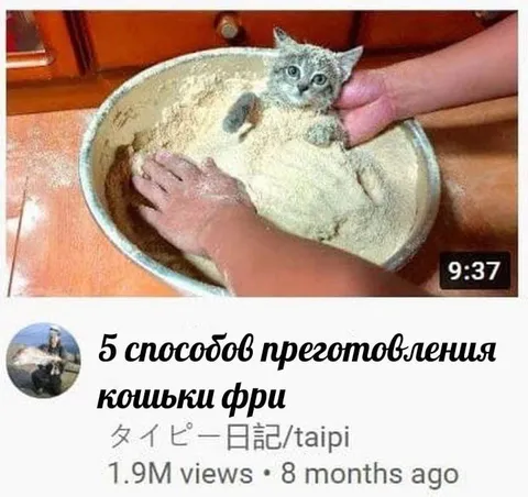 5 способов приготовления кошки фри