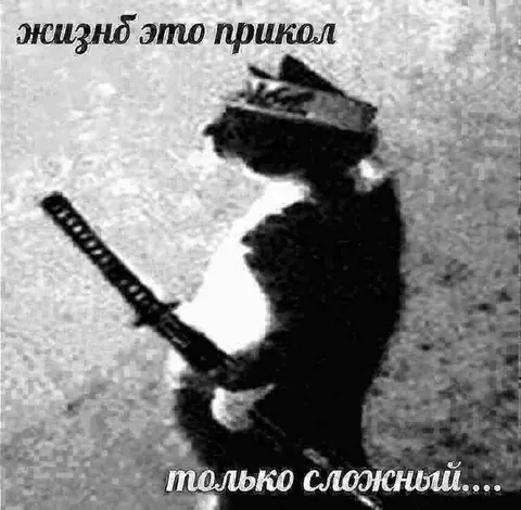 Жизнь — это прикол
