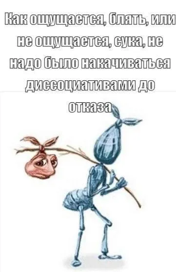Накачался диссоциативами до отказа