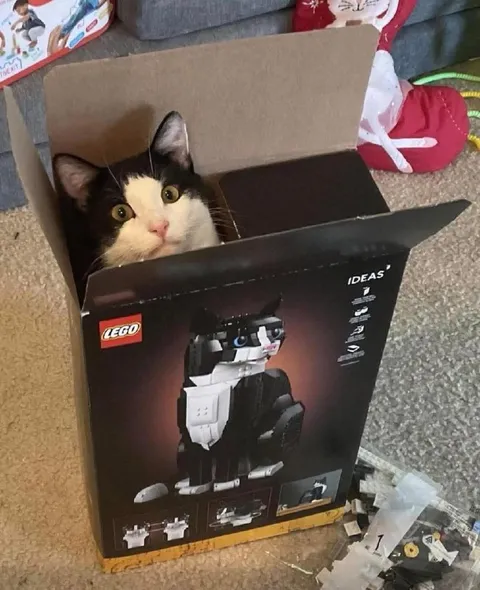 Кот в коробке от LEGO