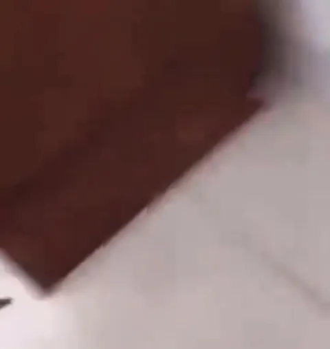 Котёнок скользит по полу