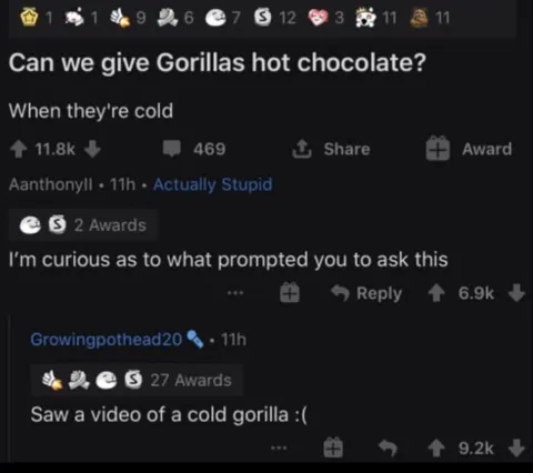 Cold Gorilla Hot Chocolate