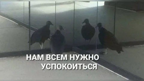 Нам всем нужно успокоиться