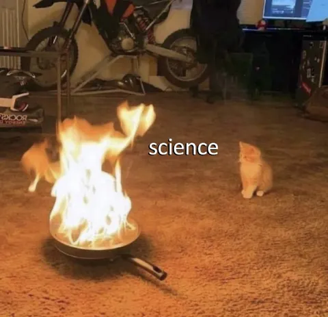 Cat Watches Science Experiment