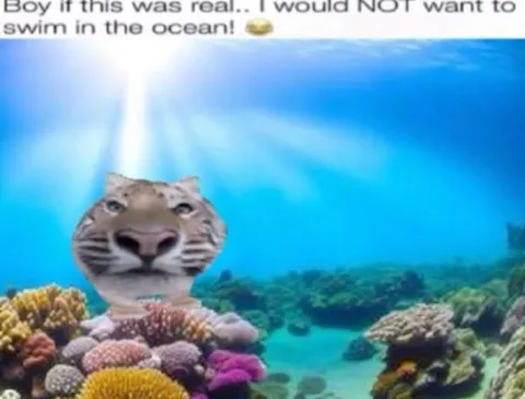 Tiger Lurking in the Ocean