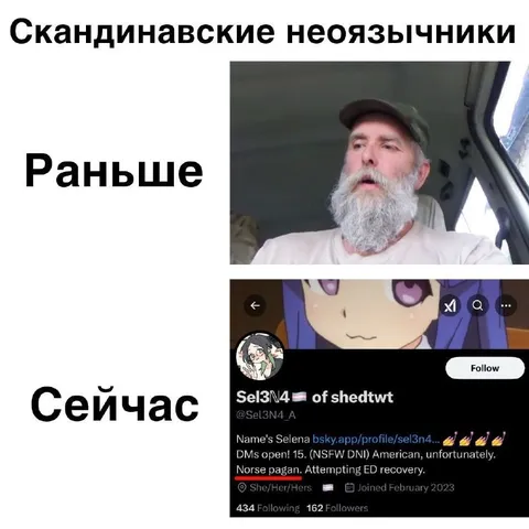 Скандинавские неодоязычники раньше и сейчас