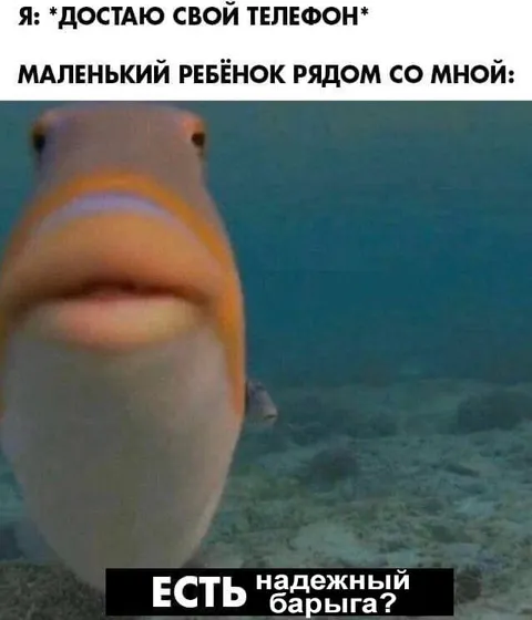 Ребёнок просит телефон