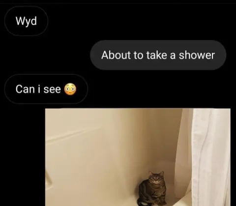 Can I See Your Shower