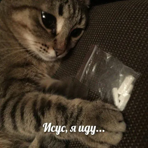 Исус, я иду