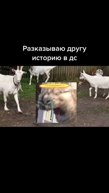 Рассказываю другу историю в ДС