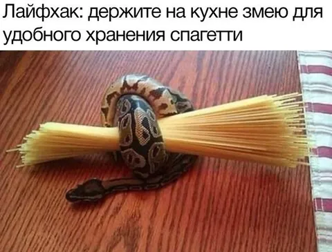 Змея хранит спагетти