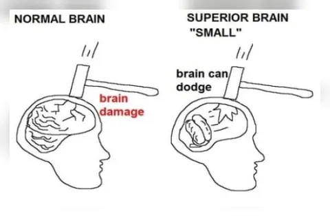 Brain Can Dodge Brain Damage