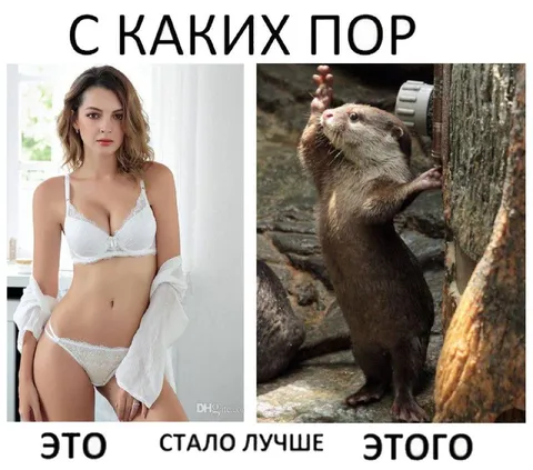 С каких пор это стало лучше