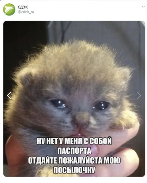 Обезьянка без паспорта