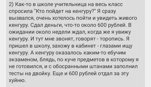 Кенгуру оказался экзаменом