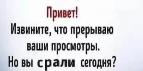 Но вы срали сегодня?