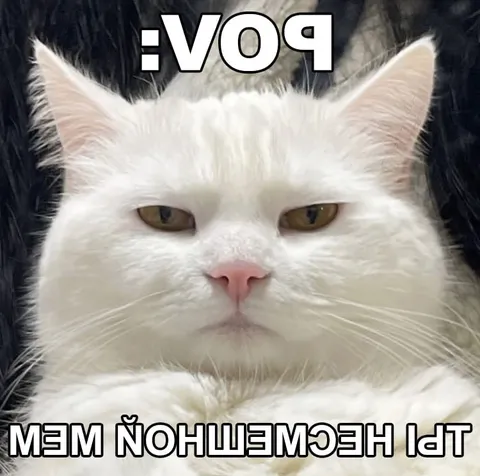 POV: ты ешь ночью
