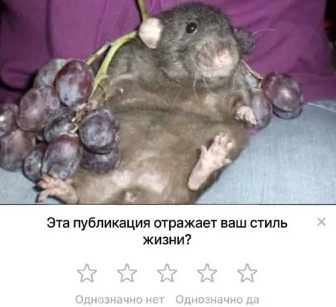 Стиль жизни с виноградом
