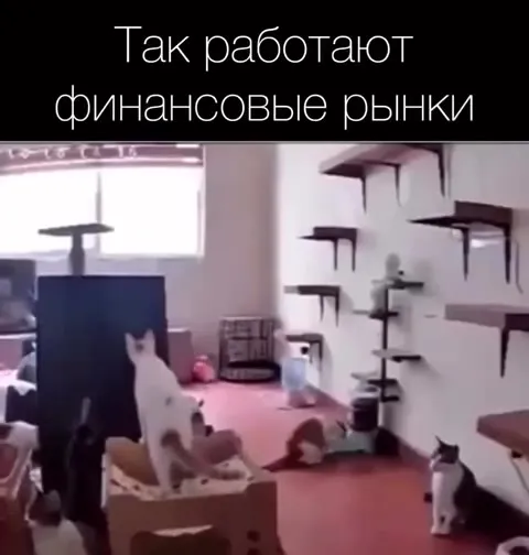 Так работают финансовые рынки