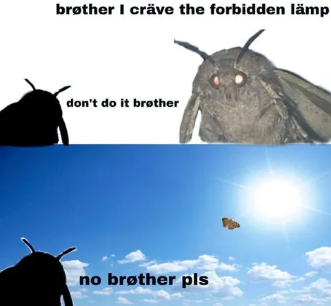 Moth Craves the Forbidden Lamp