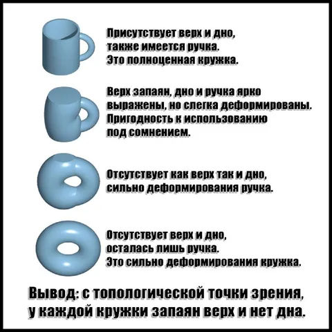 Топология кружек и бубликов