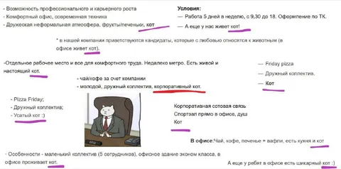 Вакансия с корпоративным котом