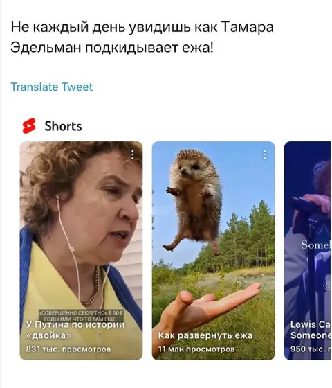 Как Тамара подкидывает ежа