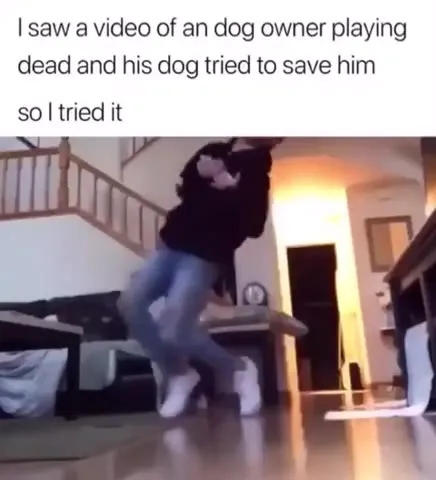 Dog Tries to Save His Owner