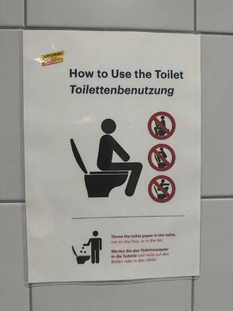 How to Use the Toilet